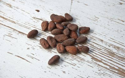La culture du cacao à Madagascar