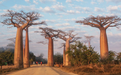 Les plus beaux paysages de Madagascar