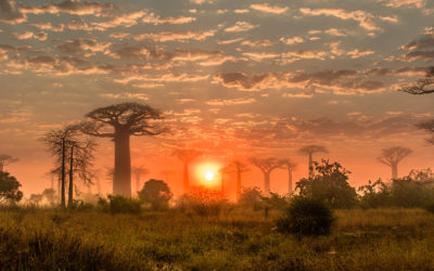 MADAGASCAR – Séjour en immersion solidaire des Hauts Plateaux à l’Allée des Baobabs