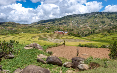 Les plus beaux paysages de rizières à Madagascar