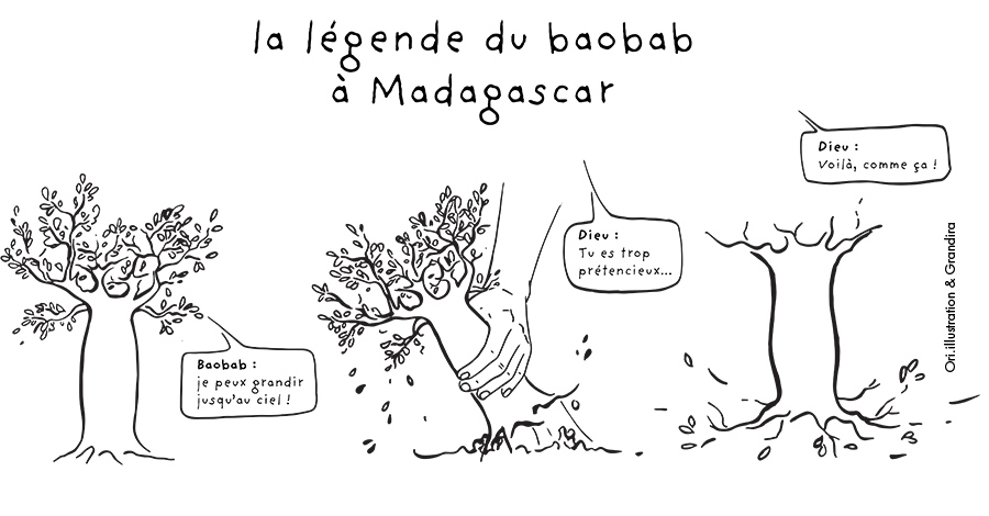légende baobabs Madaghascar (Oriane Delaporte)