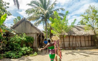 Voyage à l’Est de Madagascar : nouvelle vidéo !